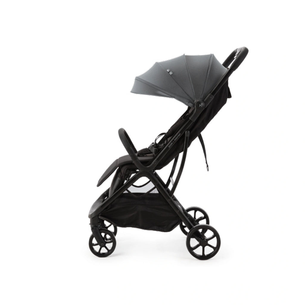 Reisebuggy ZOOM bis zu 22 kg