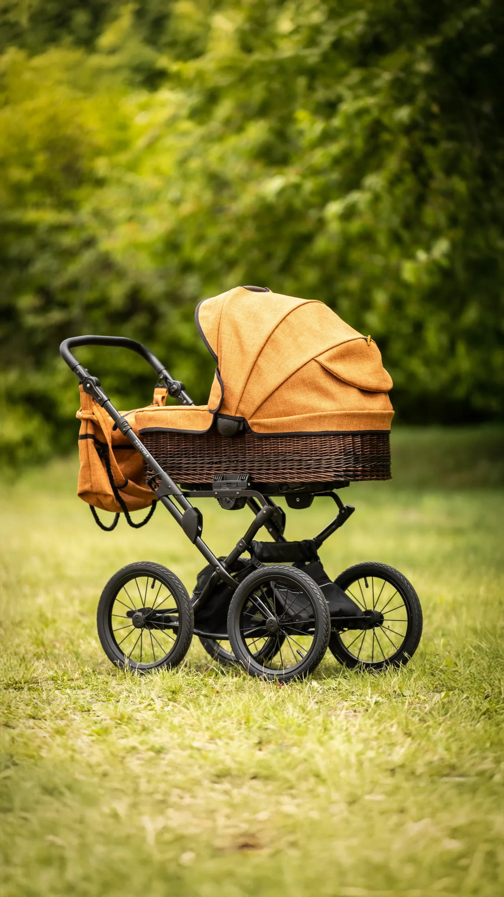 Schwarze WeidePolsterstoff Orange